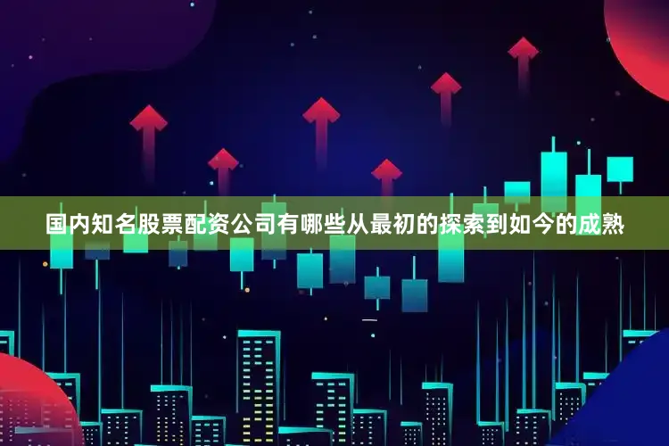 国内知名股票配资公司有哪些从最初的探索到如今的成熟