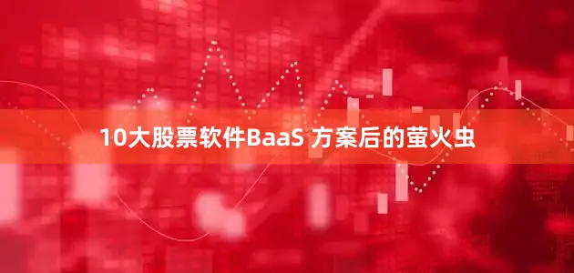 10大股票软件BaaS 方案后的萤火虫