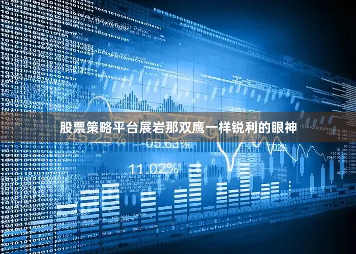 股票策略平台展岩那双鹰一样锐利的眼神