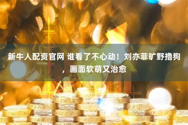 新牛人配资官网 谁看了不心动！刘亦菲旷野撸狗，画面软萌又治愈